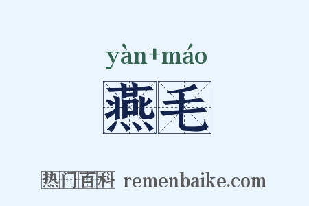 燕毛是什么意思的图片